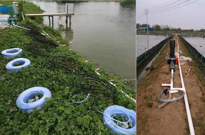 羅茨增氧機(jī)在魚塘養(yǎng)殖中的應(yīng)用